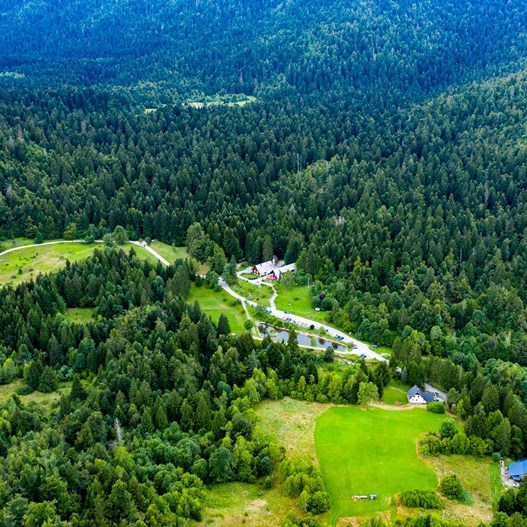 Risnjak