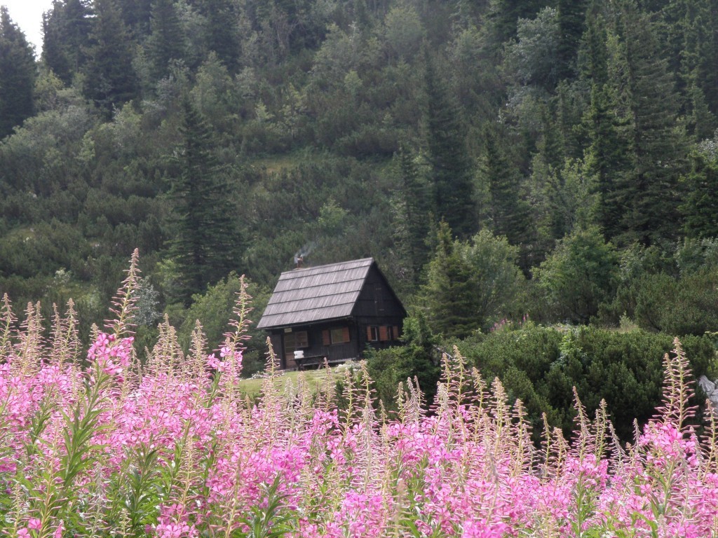 NP Sjeverni Velebit botanička stanica