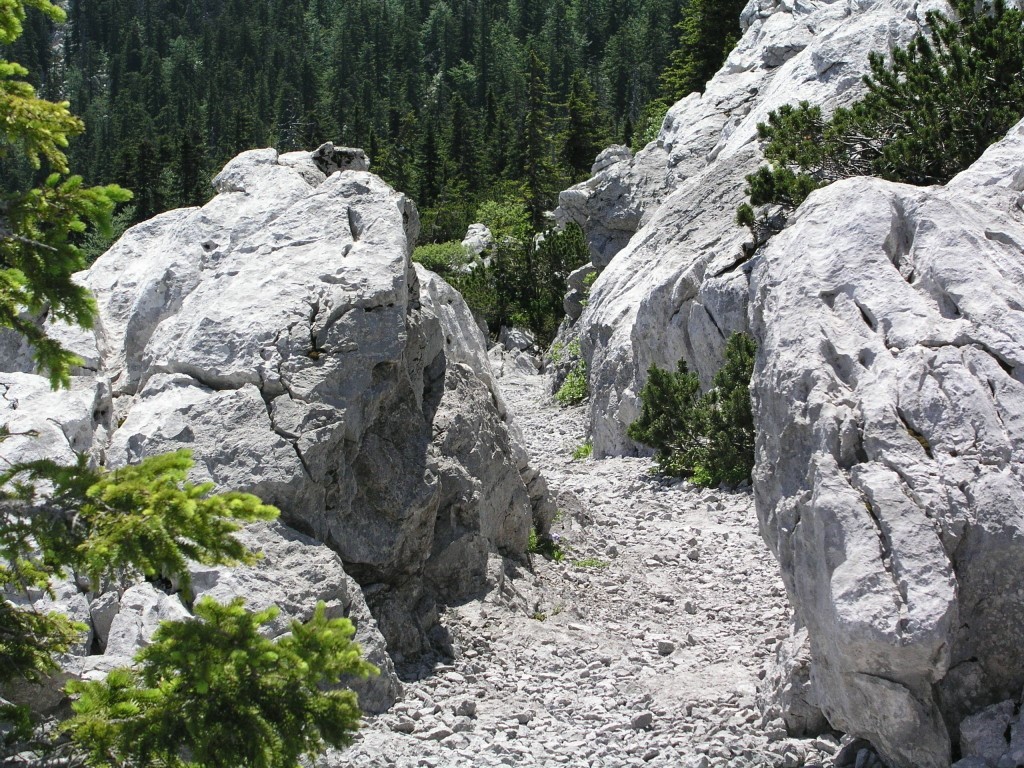 NP Sjeverni Velebit Premužićeva staza kukovi