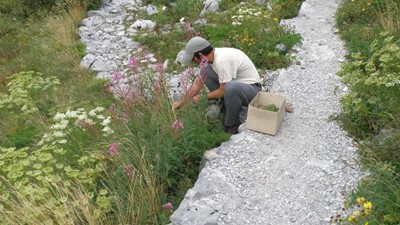 NP Sjeverni Velebit uređivanje staza