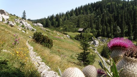 NP Sjeverni_Velebit kružna staza