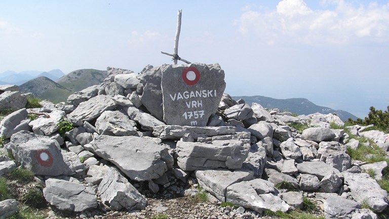 Vaganski vrh