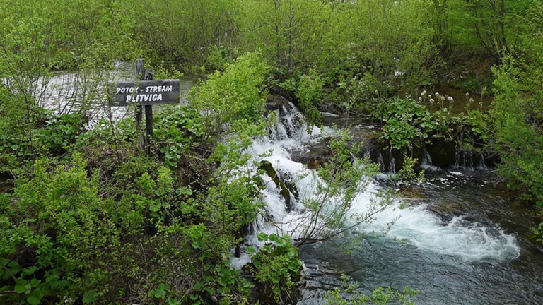 Potok Plitvica i rijeka Korana