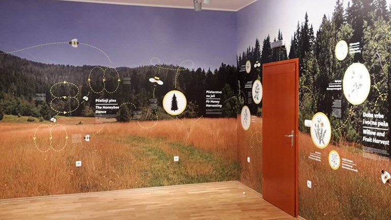 Goranska kuća znanja