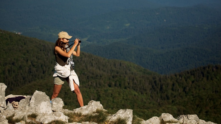 Promatranje životinja