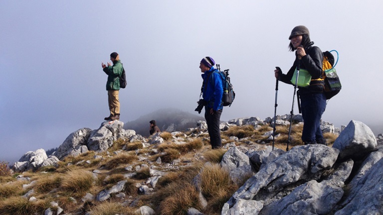 Planinarenje/hodanje