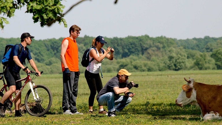 Promatranje životinja