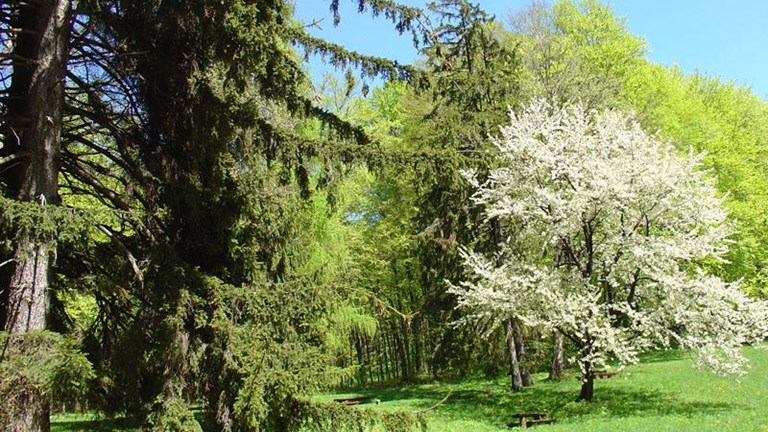 Ferenčak Mill, Bidrovec