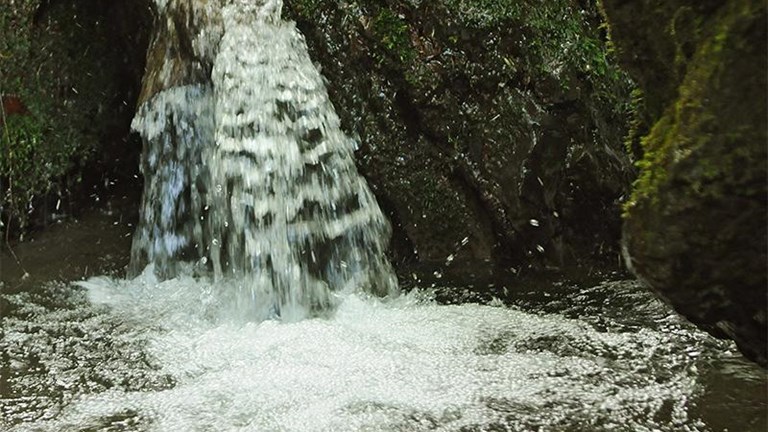 Mill in Gračanski Ribnjak