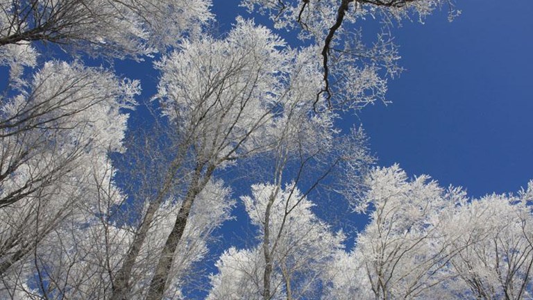 Jakopović Mill, Čučerje