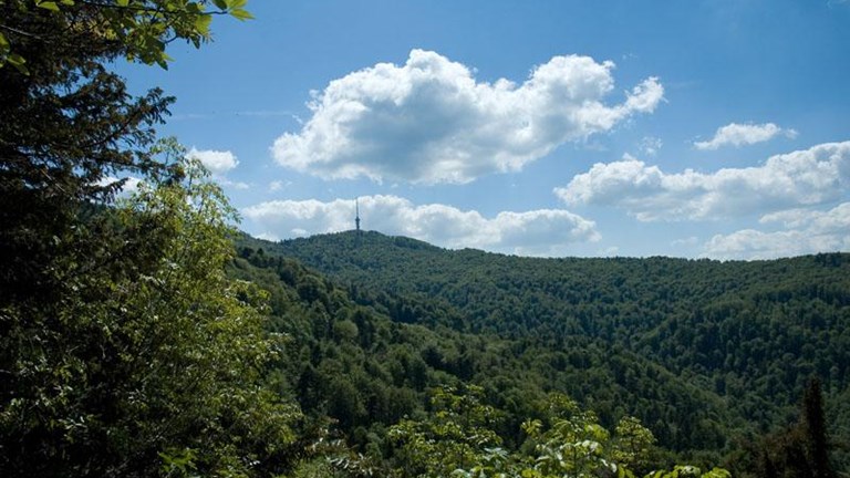 Ročić Mill, Markuševečka Trnava