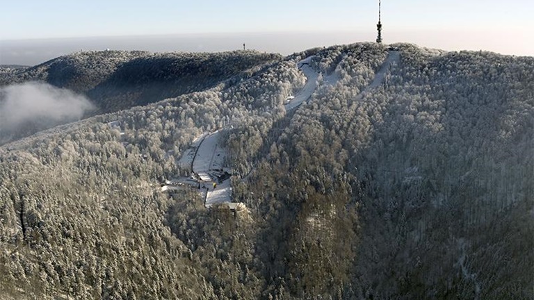 Paragliding and flying