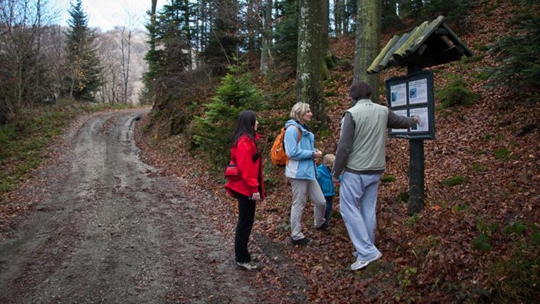 Educational trail Bistra