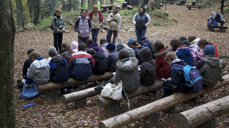 Schools in nature