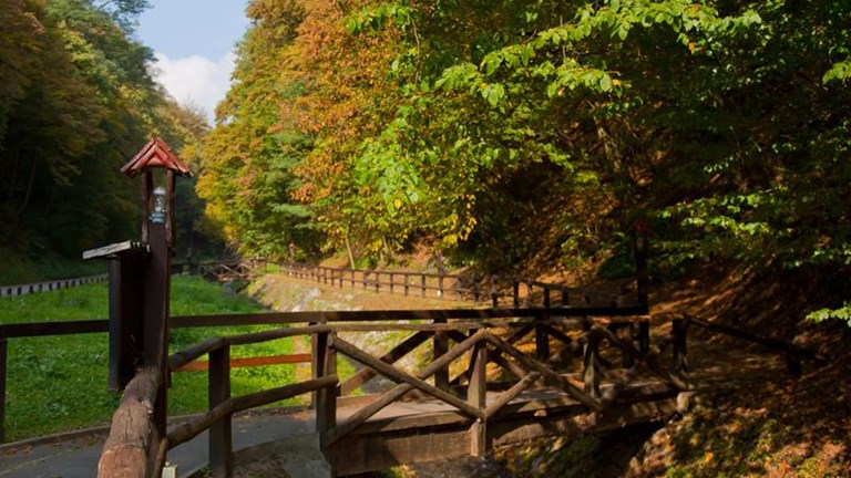 Forest trail Bliznec