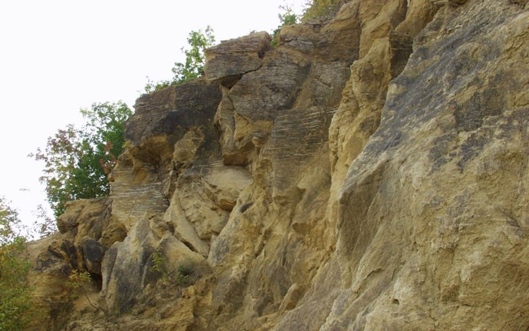 Geološki lokalitet Vrhovci