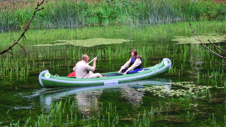 Boat trips and rentals