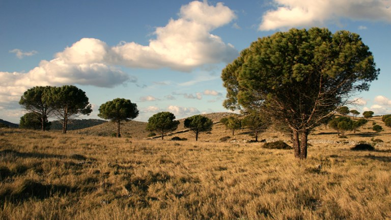 Illyrian grave at Čuh