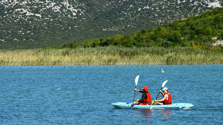 Boat trips and rentals